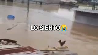 Wilson Lo siento😭 the video [upl. by Natlus]