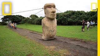 Scientists Make Easter Island Statue Walk  National Geographic [upl. by Henrion]