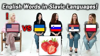 American was Shocked by Word Differences of Slavic Languages Poland Ukraine Serbia Slovenia [upl. by Aeslehs]