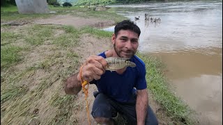 Rambito se fue de pesca al rio lempa y vean que gran guapote😱atrapa 😲 [upl. by Oiligriv743]