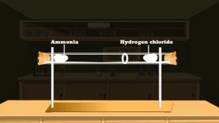 Diffusion in gases [upl. by Aniryt]