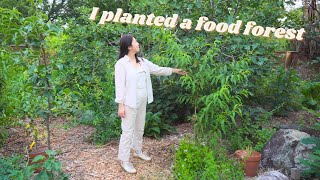 From lawn to permaculture food forest  how I transformed my backyard in 5 months [upl. by Giana494]