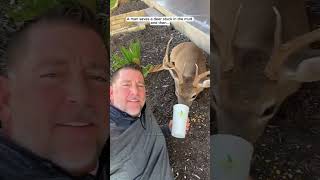 Man saves a deer stuck in the mud and then deer babydeer shorts [upl. by Viddah]