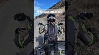 DJI Neo lost me but found a new love djineo motoadventure [upl. by Yrad]