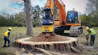 Amazing Biggest Stump Removal Excavator At Another Level Incredible Stump Removal Grinding Machine [upl. by Aidnyc474]