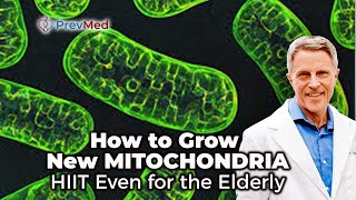 How to Grow New Mitochondria  HIIT Even for the Elderly [upl. by Rosana937]