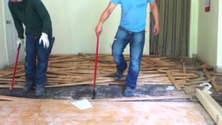 How to remove hardwood floors nail down [upl. by Lattimer]