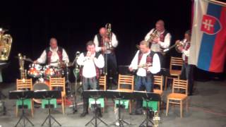 Kapelle Drietomanka  Südböhmische  Jihočeská Polka [upl. by Pack]