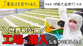 【超貴重映像】FaSoLaオリジナル商品が製造されている工場に潜入してみた！ [upl. by Suivatnod]