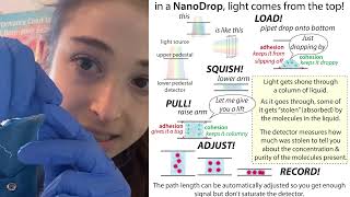 How a NanoDrop works [upl. by Ssidnac]