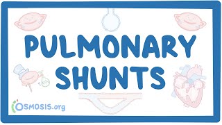 Pulmonary shunts [upl. by Adlemy]