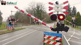 Spoorwegovergang DriebergenRijsenburg 😍4K😍  Dutch railroad crossing [upl. by Dusza]