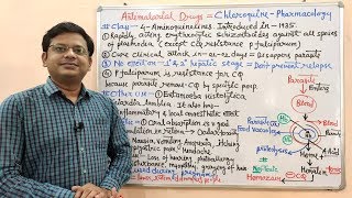 Antimalarial Drugs Part05 Chloroquine Mechanism of Action  Chloroquine  Chloroquine MOA [upl. by Airemahs]