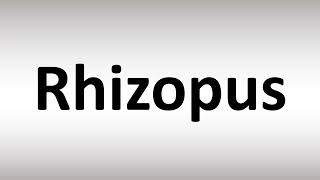 How to Pronounce Rhizopus [upl. by Marten455]