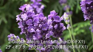 RAYNOX DCR5320PRO 532 Diopter HD 3in1 Macro conversion lensA [upl. by Sarkaria463]