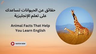 اكتشف عالم الحيوانات وتعلم الإنجليزية في نفس الوقت الجزء الثاني New English Vocabulary [upl. by Tak]