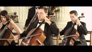 Vivaldi The Four Seasons Summer LEstate 3rd movement [upl. by Halludba]