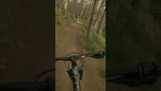 Rock Candy  Drops and Jumps at Woodhill mtb [upl. by Uohk]