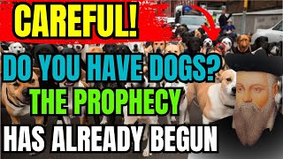 SHOCKING What Nostradamus Predicted for Those Who Have a DOG at Home  Prophecies Revealed [upl. by Samy106]