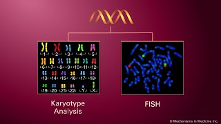 Genetic Predispositions for Multiple Myeloma [upl. by Nehgaem]