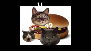 Cat￼ burger [upl. by Maier27]