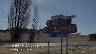 Inside Jindabyne Exploring the Trout Hatchery in NSW Australia [upl. by Nasia]