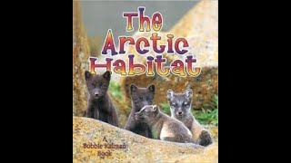 The Arctic Habitat Read aloud [upl. by Anaigroeg999]