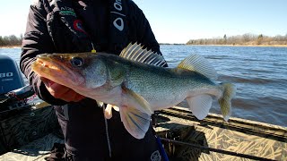 Early Spring Walleye Fishing on The Rainy River  In Depth Outdoors TV S15 E19 [upl. by Eulalie231]