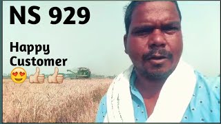 NS 929 COMBINE HARVESTERHappy Customer 😍🌾🌽👍👍👍Harvesting in wheat crop [upl. by Hildegard]