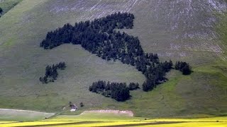 Castelluccio di Norcia [upl. by Ferdinanda632]