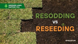 Resod vs Reseeding  Greener Lawn Happier You Episode 5 [upl. by Freddi]