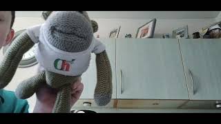 PG tips monkey Ad [upl. by Neih741]