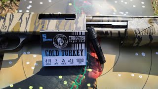 Salt Creek Custom 410 10 Pattern Test W Carlsons Heavyweight TSS 385 Choke amp Mossberg 500 410 [upl. by Yarod317]