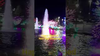 Happy Blessed New Year🙂 All the best 2024 christmas lights amazing colorful beautiful short [upl. by Sikras233]