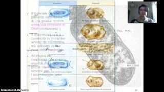 La cellula procariotica [upl. by Ylrad]