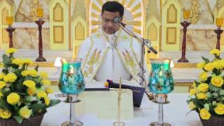 Sunday Holy Mass December 10 I 530 AM I Malayalam I Syro Malabar I Fr Bineesh Augustine [upl. by Aihsak]