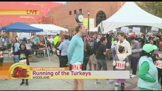 Running of the Turkeys [upl. by Christi]