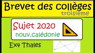 Préparation au Brevet des collègesSujet officiel déc 2020  Nouvelle Calédonie ex3 THALES vitesse [upl. by Metah]