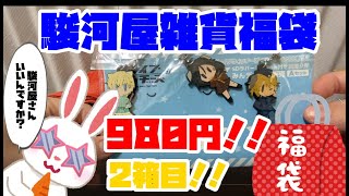 駿河屋 雑貨 福袋 ９８０円 ⑤箱中の② 開封 中古福袋 ノンジャンル 雑貨 箱いっぱいセット Opening of anime lucky bag for Japanese otaku [upl. by Traver]