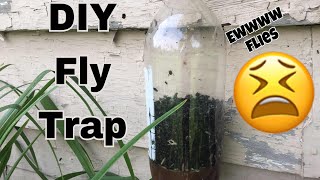 How to make a DIY fly trap [upl. by Ahsei222]