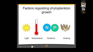 The Current 93 Harmful Algal Blooms A Look Beyond Nutrients [upl. by Shaum358]