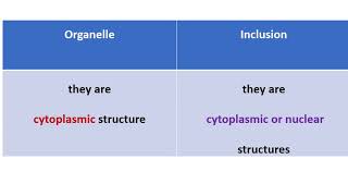 Difference between organelle and inclusion [upl. by Sherry52]