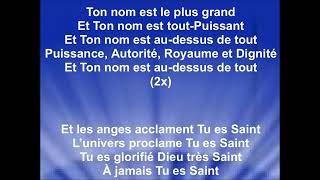 À JAMAIS TU ES SAINT  Céline Flota cover Chris Tomlin [upl. by Konopka]