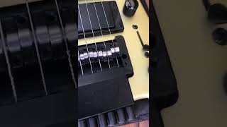 Guitarra Steinberger Spirit GT Pro [upl. by Enomahs]