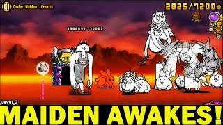 The Battle Cats  Maiden Awakes  Unlock Maiden Cats True Form  Beating EXPERT and INSANE [upl. by Annoyek]