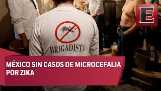 Sin casos de microcefalia por zika en México [upl. by Olrac]