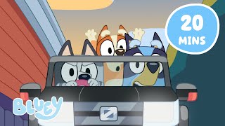 🔴LIVE On the Road with Bluey  With Muffin Socks and more  Bluey [upl. by Hazeefah659]