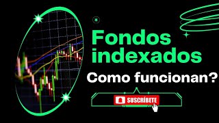 Invirtiendo con Éxito ¿Qué Son y Cómo Funcionan los Fondos Indexados [upl. by William]