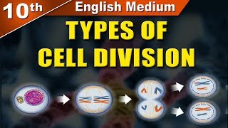 Class10  SSC  Types of Cell Division  Science 2  Maharashtra Board  Home Revise [upl. by Razec]