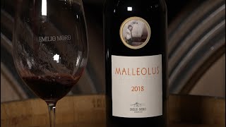 Videocata MALLEOLUS 2018  EmilioMoro [upl. by Aleras]